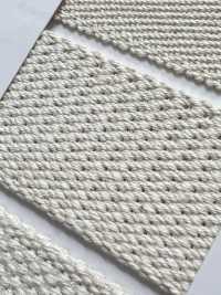 NO5502-11 Burberry Webgürtelband[Bandbandschnur] RIVER Sub-Foto