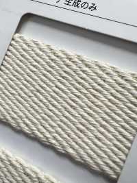 NO5502-19 Gürtelband-Twill-Tasche[Bandbandschnur] RIVER Sub-Foto