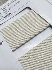 NO5502-19 Gürtelband-Twill-Tasche[Bandbandschnur] RIVER Sub-Foto