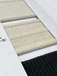 NO5502-24 Gürtelband Mit Gestreifter Webkante[Bandbandschnur] RIVER Sub-Foto