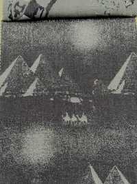 A-1728 Denim-Jacquard[Textilgewebe] ARINOBE Sub-Foto