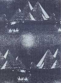 A-1728 Denim-Jacquard[Textilgewebe] ARINOBE Sub-Foto