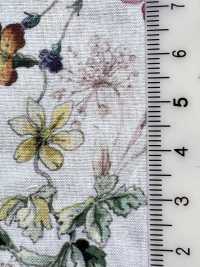 DP-5000-1 60 Rasen Digitaldruck Botanik[Textilgewebe] HOKKOH Sub-Foto