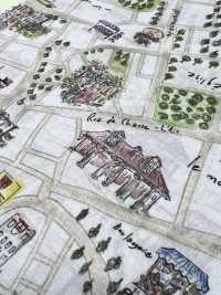 DP-5000-5 60 Rasen-Digitaldruck-Kartenmuster[Textilgewebe] HOKKOH Sub-Foto