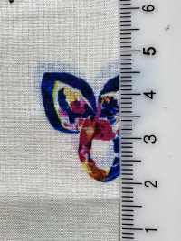 DP-7940-1 60 Lawn Inkjet Schal[Textilgewebe] HOKKOH Sub-Foto