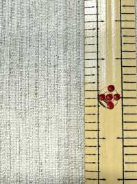 KINANADAKI-21 KINANADAKI 21 Altes Vintage-Leinen[Textilgewebe] Komatsuwa Textile Sub-Foto