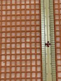 KKF8403 Graph Check Organza[Textilgewebe] Uni Textile(Komon Studio) Sub-Foto