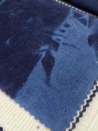 DCL4400-ID 21W Mijinkoruten Decolore[Textilgewebe] Kumoi Beauty Unterfoto