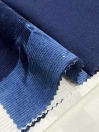 DCL4400-ID 21W Mijinkoruten Decolore[Textilgewebe] Kumoi Beauty Unterfoto