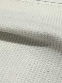 SEL178 14W Selvedge (Roter Rand) Sommerkord Gebleicht[Textilgewebe] Kumoi Beauty Unterfoto