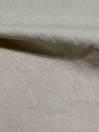 OJE253383 Waschung Für Baumwoll-Broadcloth[Textilgewebe] Oharayaseni Unterfoto