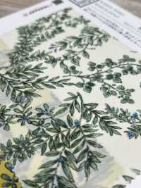 KKP3600-58-DBK-101W Neue Venus Breit Breite[Textilgewebe] Uni Textile(Komon Studio) Unterfoto