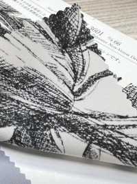 KKP3601-D66 New Venus Deshin[Textilgewebe] Uni Textile(Komon Studio) Unterfoto