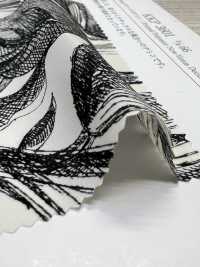 KKP3601-D66 New Venus Deshin[Textilgewebe] Uni Textile(Komon Studio) Unterfoto