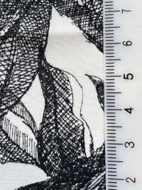 KKP3601-D66 New Venus Deshin[Textilgewebe] Uni Textile(Komon Studio) Unterfoto