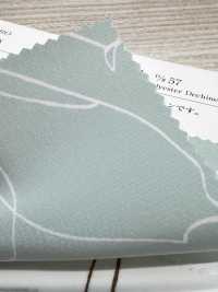 KKP3601-D57 New Venus Deshin[Textilgewebe] Uni Textile(Komon Studio) Unterfoto