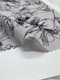 KKP3601-D108 New Venus Deshin[Textilgewebe] Uni Textile(Komon Studio) Unterfoto