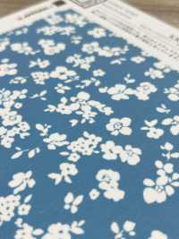KKP3601-D40 New Venus Deshin[Textilgewebe] Uni Textile(Komon Studio) Unterfoto