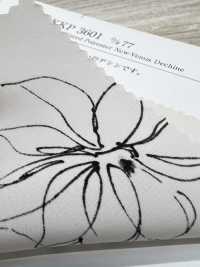 KKP3601-D77 New Venus Deshin[Textilgewebe] Uni Textile(Komon Studio) Unterfoto