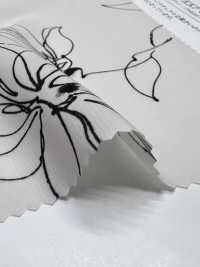 KKP3601-D77 New Venus Deshin[Textilgewebe] Uni Textile(Komon Studio) Unterfoto