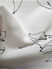 KKP3601-D77 New Venus Deshin[Textilgewebe] Uni Textile(Komon Studio) Unterfoto