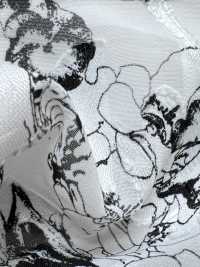 KKP4193-D100-98 Chiffon-Jacquard[Textilgewebe] Uni Textile(Komon Studio) Unterfoto