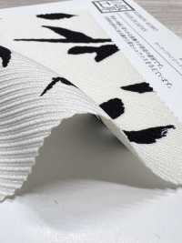 KKP5348-D53 Wolliger, Edler Köper[Textilgewebe] Uni Textile(Komon Studio) Unterfoto