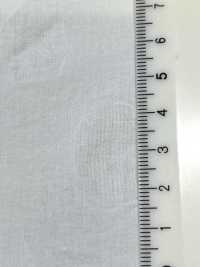 28119 80-Faden-Rasen-Salzschrumpf-Druck-Punktmuster[Textilgewebe] SUNWELL Unterfoto