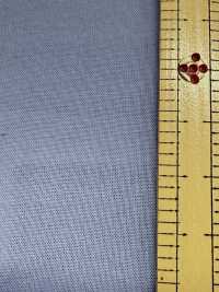 1277 60-Faden-Rasen-Klarlack-Finish[Textilgewebe] VANCET Unterfoto