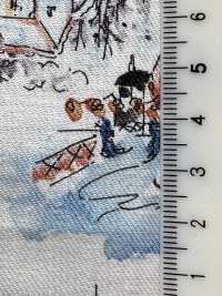 8026-1560-3 30 Viyella Angel Soft Nordic Landscape Pattern[Textilgewebe] HOKKOH Unterfoto