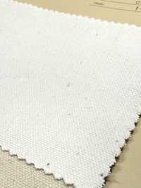 INDIA-2154 INDIEN-ENTE[Textilgewebe] ARINOBE Unterfoto