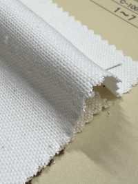 INDIA-2154 INDIEN-ENTE[Textilgewebe] ARINOBE Unterfoto