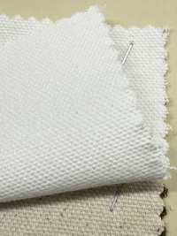 INDIA-2154 INDIEN-ENTE[Textilgewebe] ARINOBE Unterfoto