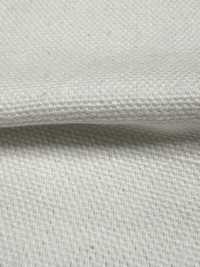 INDIA-2154 INDIEN-ENTE[Textilgewebe] ARINOBE Unterfoto