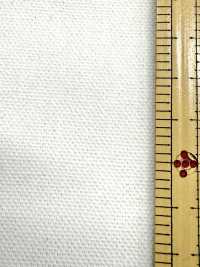 INDIA-2154 INDIEN-ENTE[Textilgewebe] ARINOBE Unterfoto