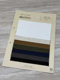 INDIA-2154 INDIEN-ENTE[Textilgewebe] ARINOBE Unterfoto