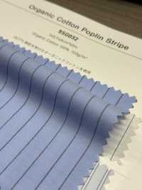 5SG032 Streifen Aus Bio-Baumwoll-Popeline[Textilgewebe] Chambray Unterfoto