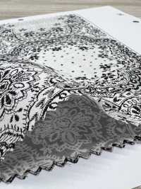 7026-1600-6 80/240 Spitze[Textilgewebe] HOKKOH Unterfoto