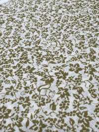 7026-1610-1 60 Rasen 9088 Eichhörnchen Und Trauben[Textilgewebe] HOKKOH Unterfoto