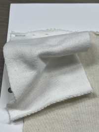 W-48377 Vintage Champion Fleece II[Textilgewebe] Minami Unterfoto