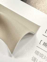 GINGA-069 Eska[Textilgewebe] GINGA Unterfoto