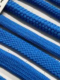 6AY Flexibler Beutelriemen 4,6 Mm[Bandbandschnur] Cordon Unterfoto