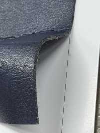 JACK CARINA [Textilgewebe] Nagai-Zwirn Unterfoto