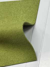 ATTESA R [Textilgewebe] Nagai-Zwirn Unterfoto