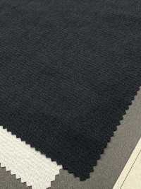 1067616 Recycle X Gewichtsverlust SY Ripstop Check[Textilgewebe] TAKISADA NAGOYA Unterfoto