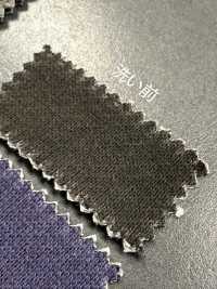 1078551GA 30/1 Pigmentierte Wolle[Textilgewebe] TAKISADA NAGOYA Unterfoto