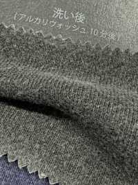 1078551GA 30/1 Pigmentierte Wolle[Textilgewebe] TAKISADA NAGOYA Unterfoto