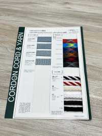 10-AC 10-mm-Rundkabel (Netzteil)[Bandbandschnur] Cordon Unterfoto