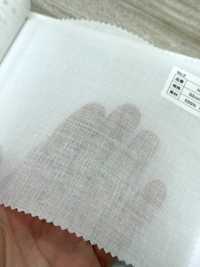 H5500-OW Baumwoll-Polyester-Einlage (Nicht Schmelzbar) Kein Name Unterfoto