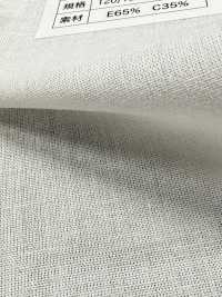 DT4830 Baumwoll-Polyester-Doppelpunkt-Einlage Kein Name Unterfoto